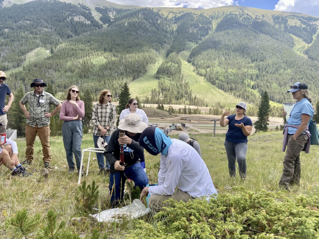 Copper Mountain starts seeding to spark a landscape-scale biodiversity effort - Vimarsana News
